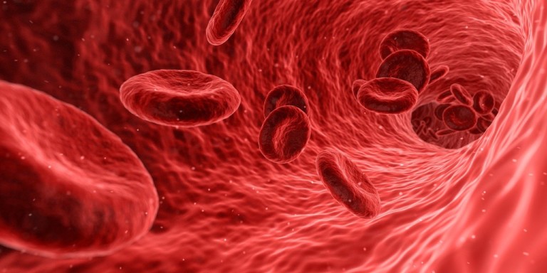 Reposição endovenosa de ferro no tratamento da anemia — Clínica de Longevidade